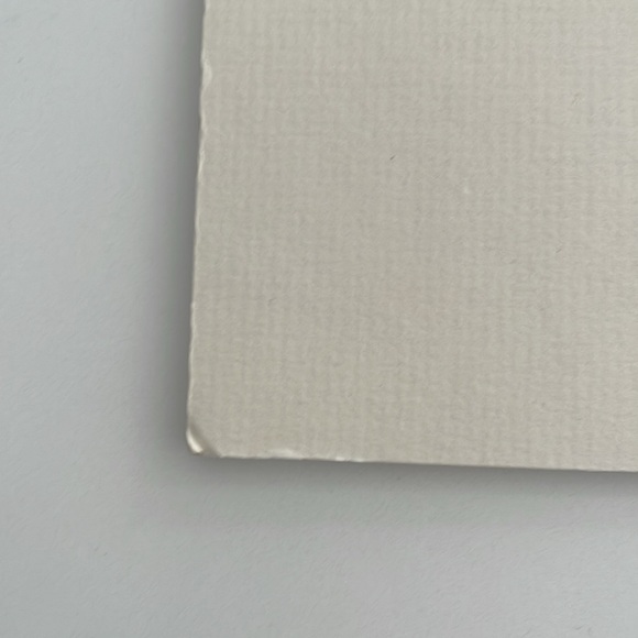 Touch of Purple double matted print by Brent Heighton (irises) 11”h x 14”w - Picture 9 of 14